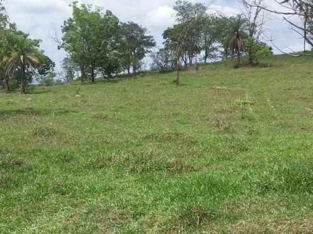 Fazenda