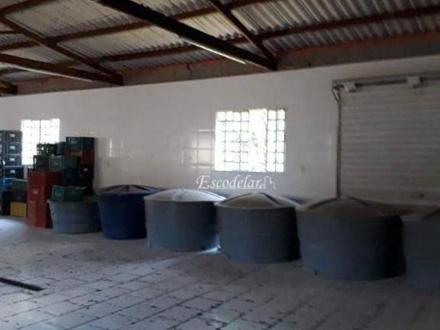 Fazenda para venda em Campininha, Atibaia