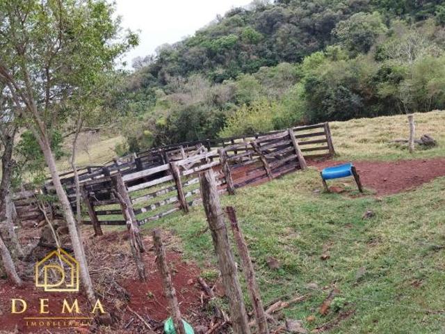 Fazenda