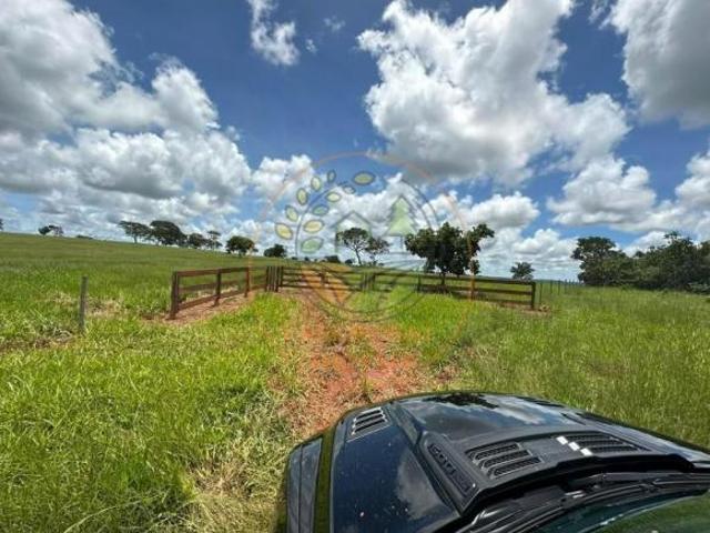 Fazenda