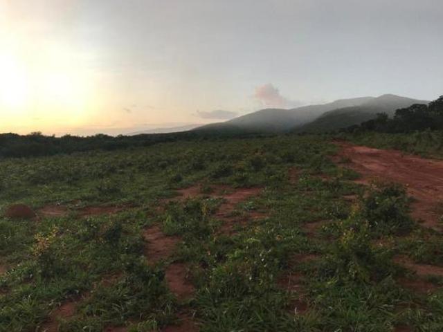 Fazenda 426 hectares em Engenheiro Navarro/MG