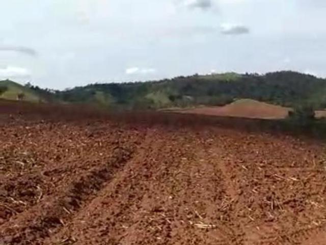 Fazenda 42 Alqueires, Bom de Água, Planta 35 Alqueires, Topografia Plana, Solo de Terra Mista Roxa