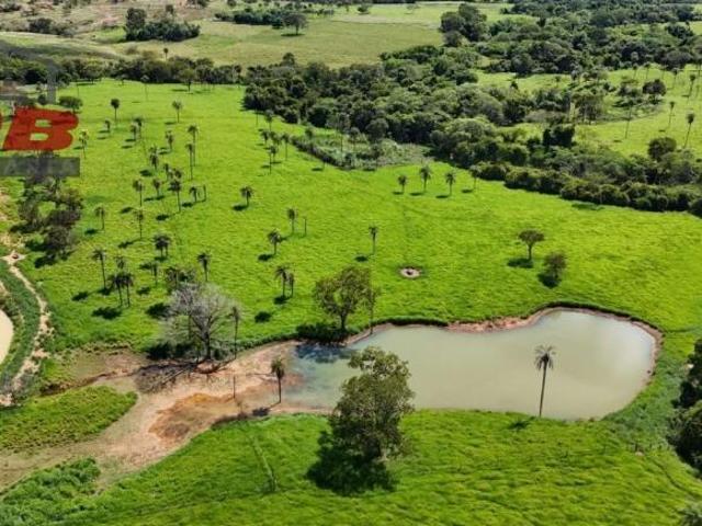 Fazenda, 42 Km de Formosa, Formosa, GO