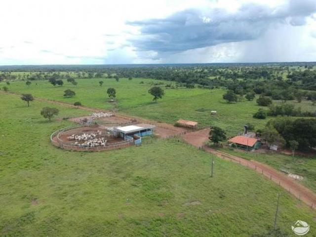 Fazenda