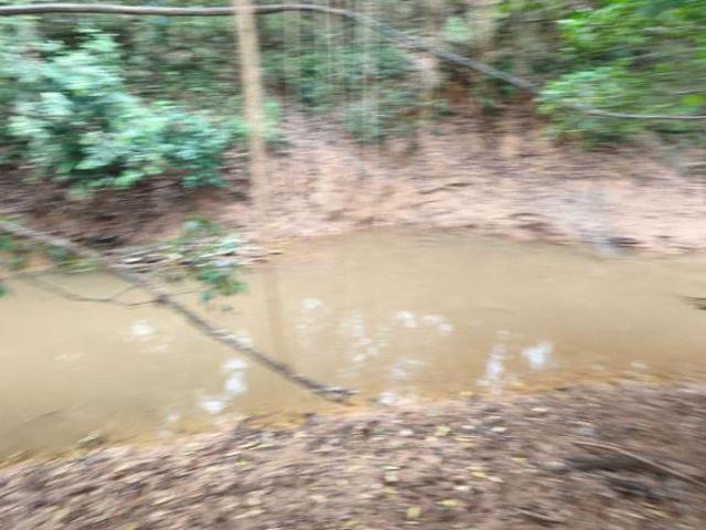 FAZENDA 43 HECTARES