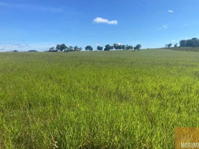 Fazenda