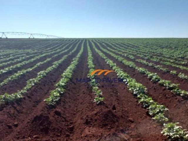 Fazenda