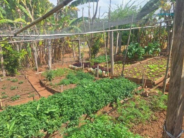 Fazenda 54 hct à venda em São Tiago/MG