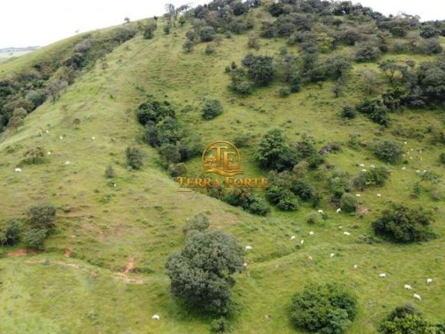 Fazenda 54 hectares em Carmópolis de Minas