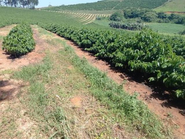 Fazenda