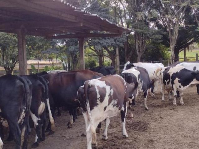 Fazenda