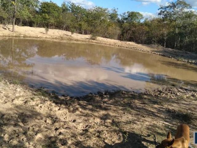 Fazenda