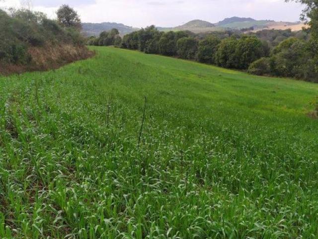 Fazenda