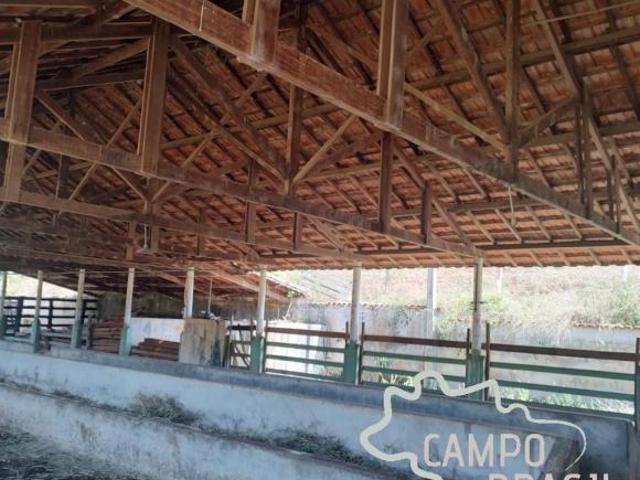 FAZENDA 57 ALQUEIRES EM SANTA RITA DO SAPUCAÍ !
