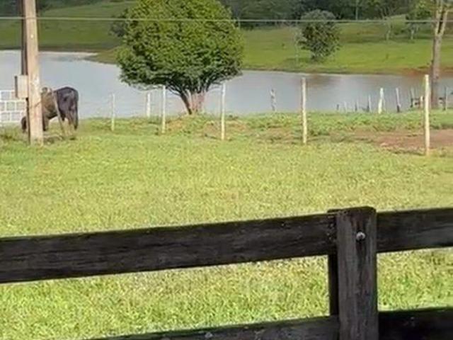 Fazenda