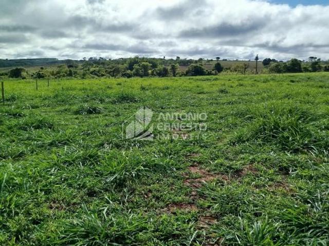 Fazenda 58 hectares, Curvelo/MG