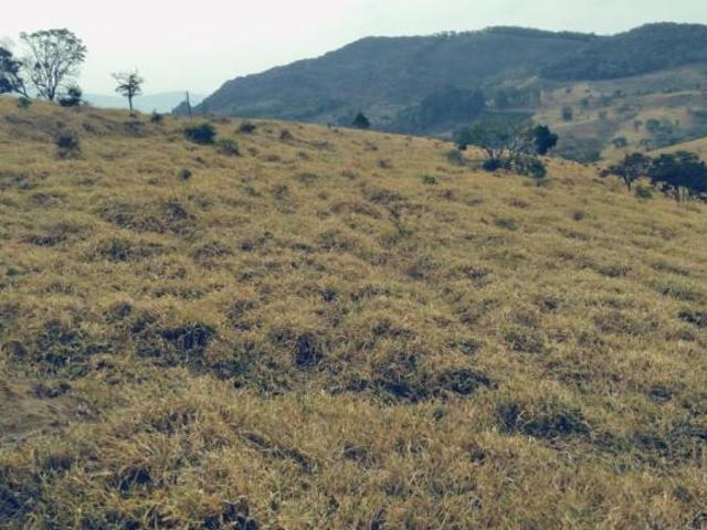 Fazenda