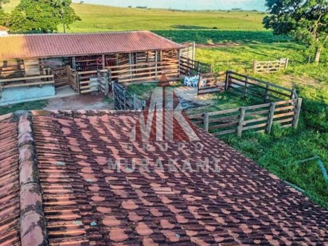 Fazenda