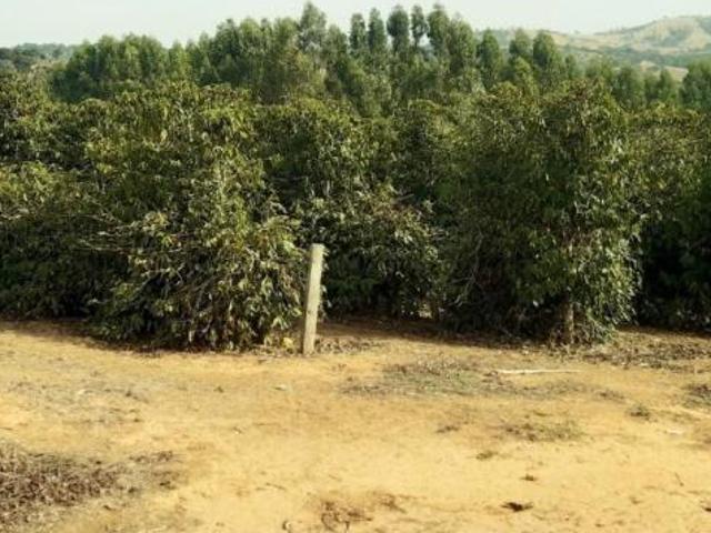 Fazenda