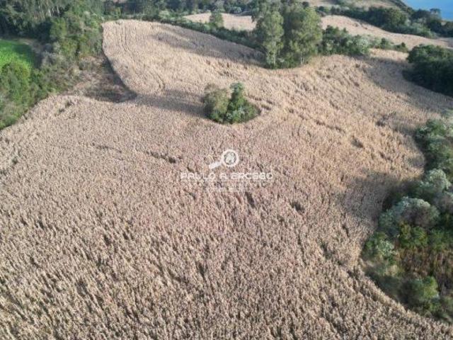 Fazenda
