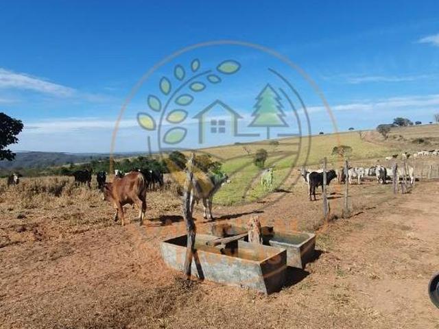 Fazenda