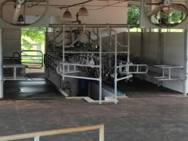Fazenda 51 Alqueires Estruturado para leiteria com capacidade para produzir 5 mil litros por dia e