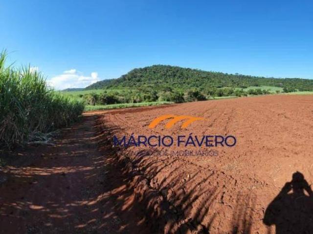 Fazenda