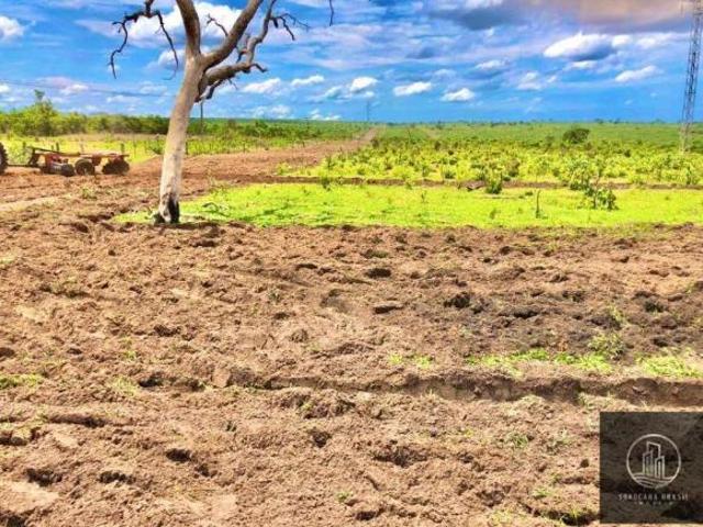 Fazenda