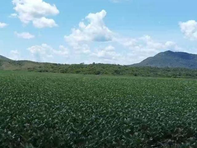 Fazenda 535 Alqueires 2.590 Hectares Vila Propicio GO R$ 64 Milhões