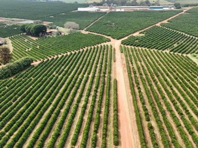 FAZENDA 640 hectares CAFEEIRA SUL DE MINAS MG. PARAGUAÇU