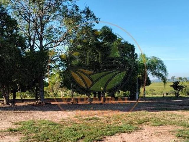 Fazenda