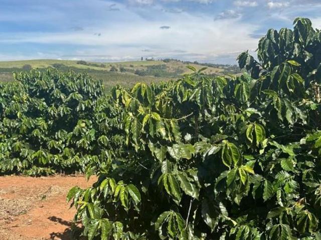 Fazenda