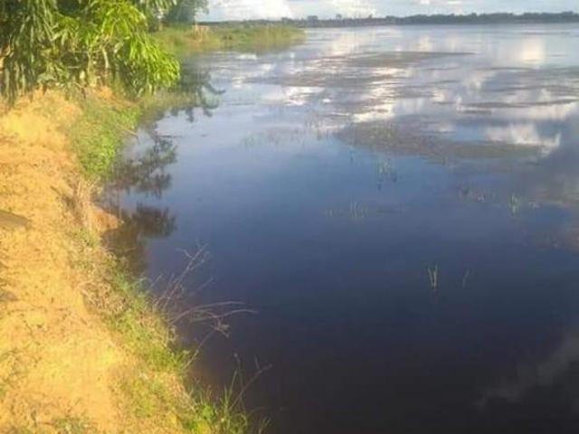Fazenda