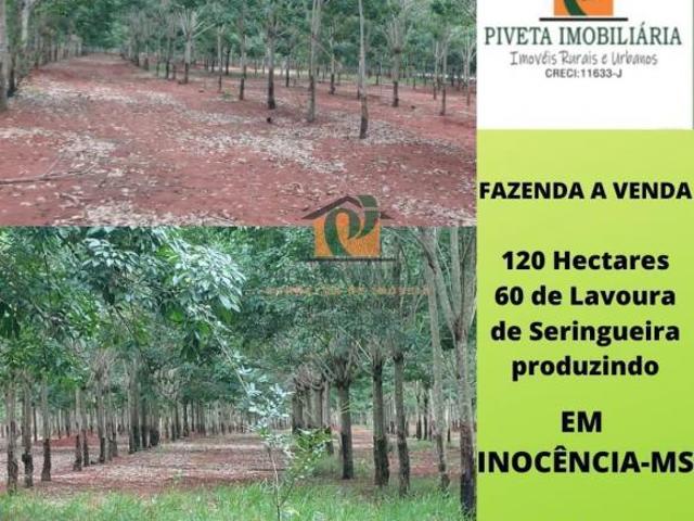 Fazenda