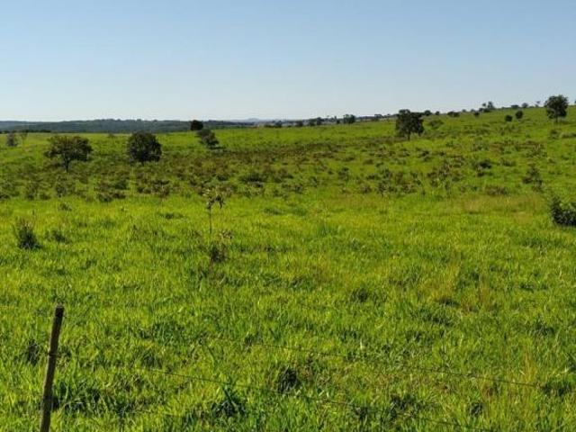 Fazenda