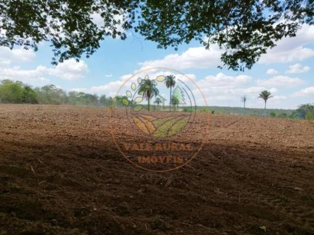 Fazenda