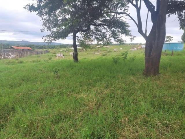 Fazenda