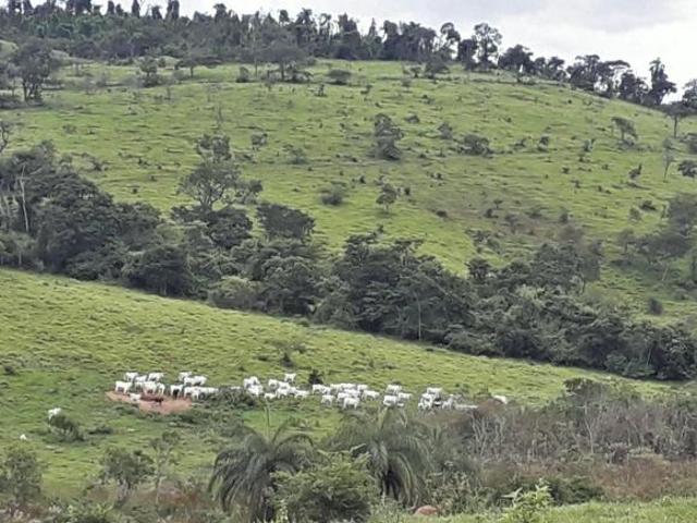 Fazenda