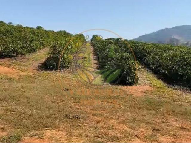 Fazenda