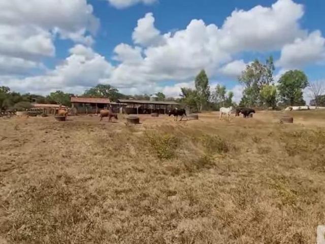 Fazenda