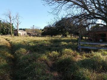 Fazenda