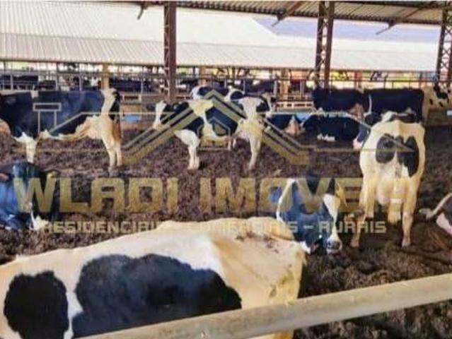 Fazenda