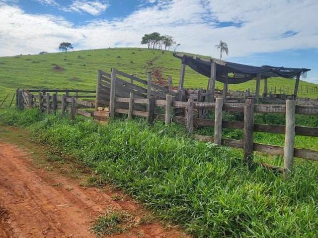 Fazenda