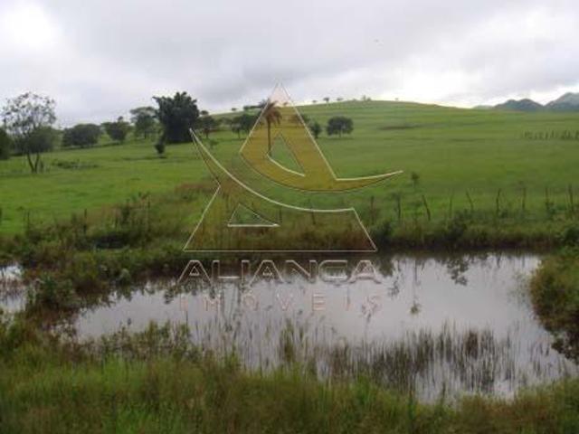 Fazenda