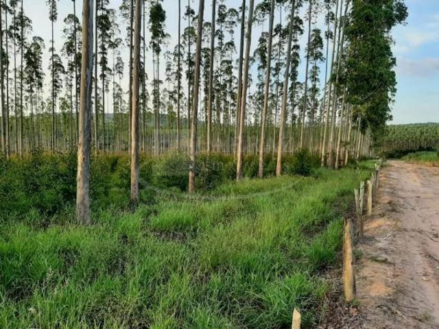 Fazenda