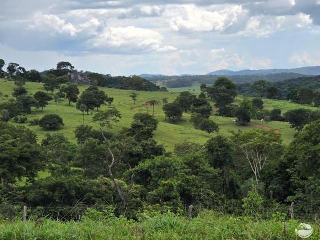 Fazenda