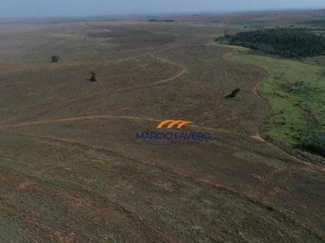Fazenda