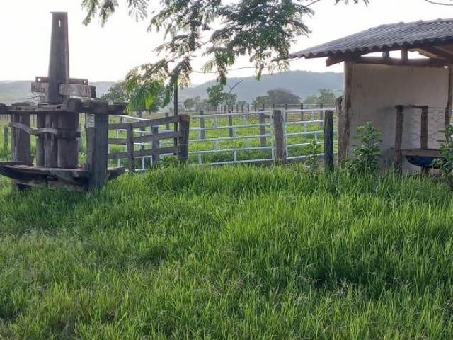Fazenda 67 hectares em Unaí Gado e Agricultura