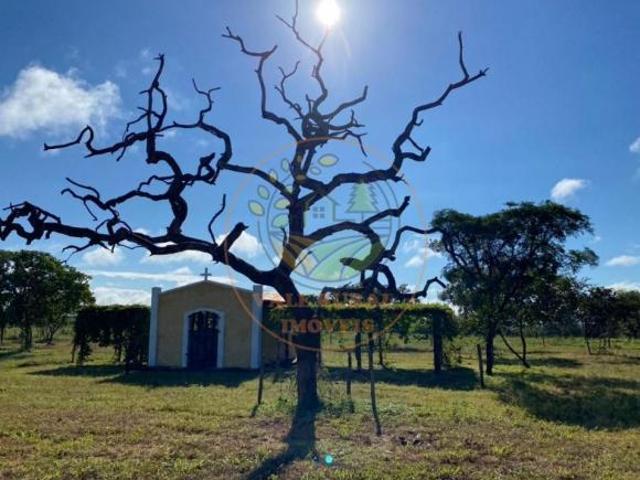 Fazenda