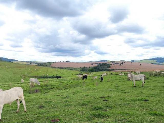 Fazenda 689 Alqueires em Taquarituba/SP